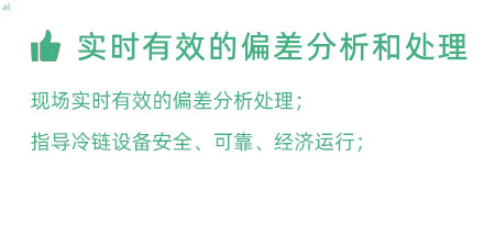 實(shí)時有效的偏差分析和處理：實(shí)時有效的偏差處理； 指導(dǎo)冷鏈設(shè)備安全、可靠、經(jīng)濟(jì)運(yùn)行；